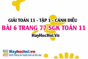 Giải bài 6 trang 77 Toán 11 tập 1 SGK Cánh Diều